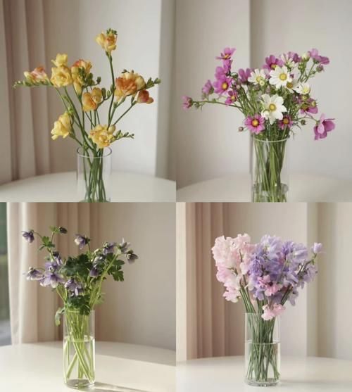 花瓶适合插什么花_如何让花瓶成为家居亮点