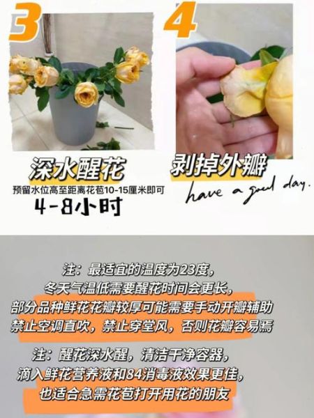 鲜花怎么养才不会枯萎_鲜花日常养护技巧