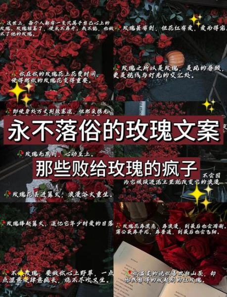 玫瑰文案怎么写_玫瑰文案艺术有哪些技巧