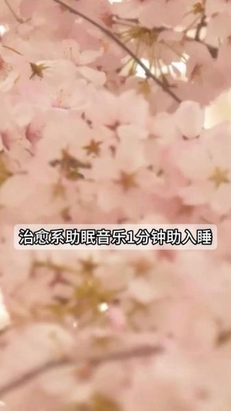 纯音乐怎么选_纯音乐助眠真的有用吗