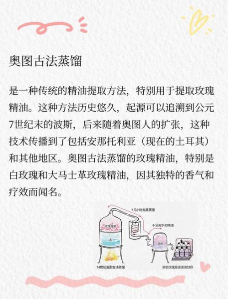 精油历史起源_精油最早用在哪