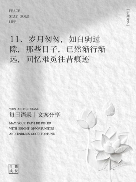 岁月文案怎么写_生活感悟句子有哪些