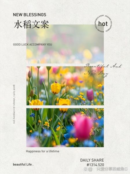 水稻艺术文案怎么写_水稻艺术文案有哪些技巧