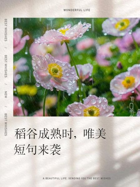 水稻艺术文案怎么写_水稻艺术文案有哪些技巧