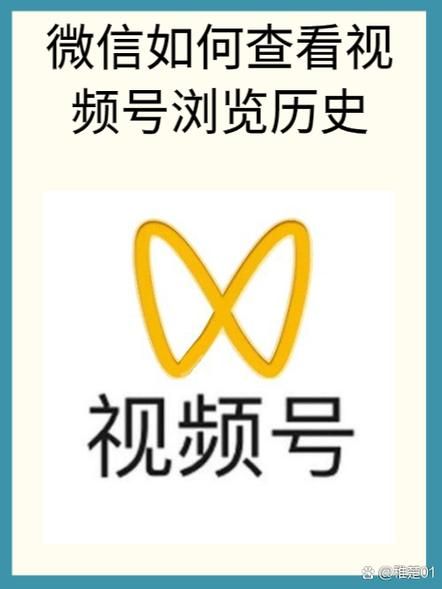 如何查询网站历史快照_网站历史记录怎么看