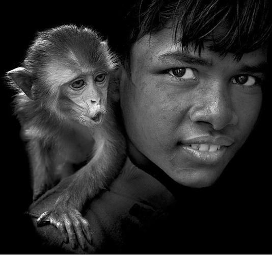 希奇艺术是什么_如何欣赏希奇艺术