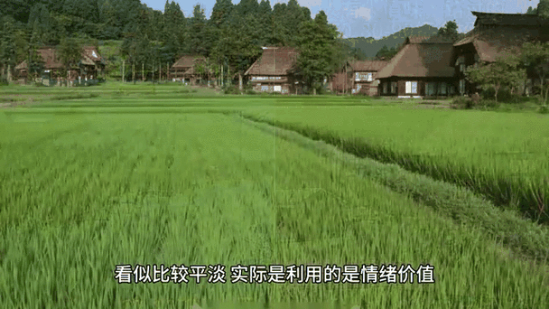 农村艺术如何变现_农村艺术有哪些新玩法