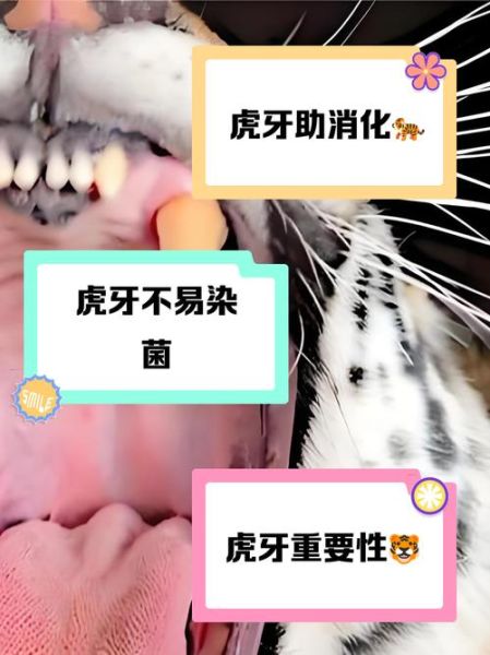 虎牙历史版本大全_虎牙旧版还能用吗