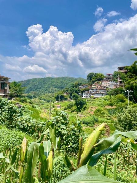 乡野田园生活怎么样_乡野田园生活怎么过