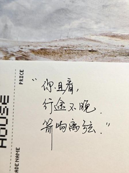 浪漫小众艺术文案怎么写_如何写出小众浪漫感