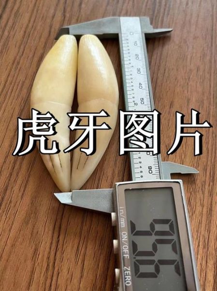 虎牙历史版本大全_虎牙旧版还能用吗