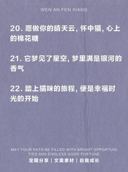 小猫艺术文案怎么写_如何打动爱猫人的心