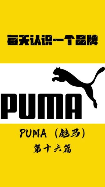 彪马历史大全_彪马品牌起源与发展历程