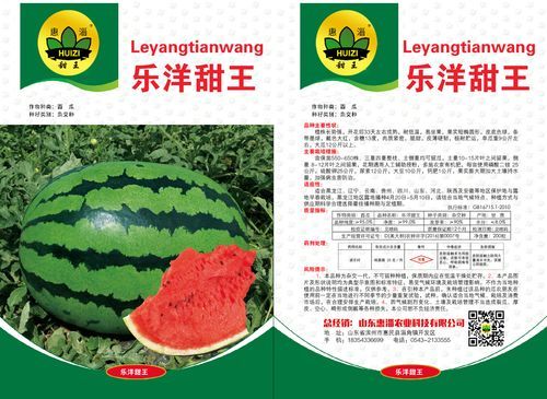 乐甜科技怎么样_乐甜科技有哪些产品