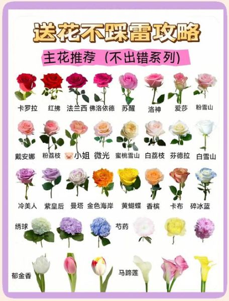 插花初学者买什么花材_插花如何配色才高级