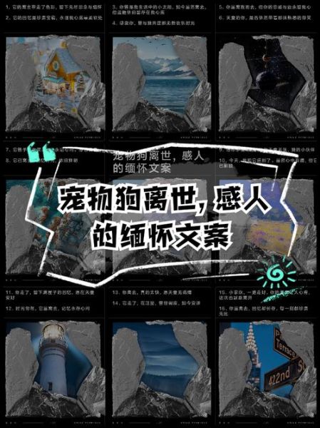 宠物艺术文案怎么写_宠物纪念文案有哪些