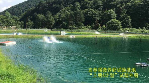 宜春强微科技产品怎么样_宜春强微科技好不好用