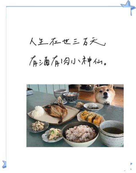 生活碎片文案怎么写_食物治愈系句子有哪些