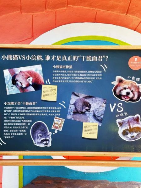 展览动物艺术文案怎么写_如何吸引观众