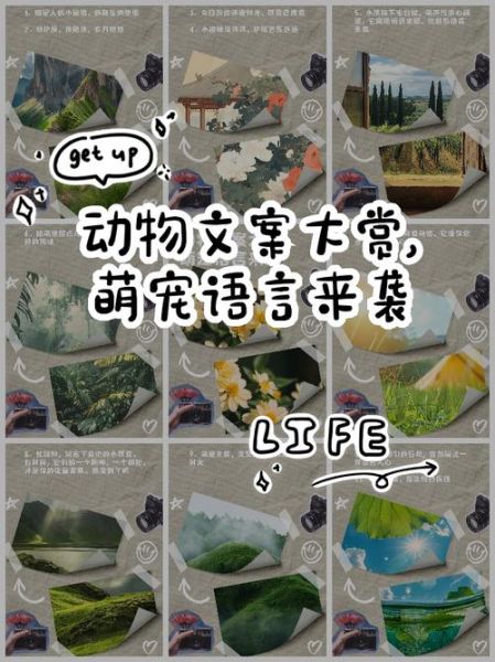 展览动物艺术文案怎么写_如何吸引观众