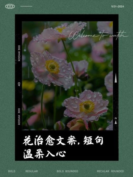 艺术的花朵怎么写文案_艺术的花朵文案范例