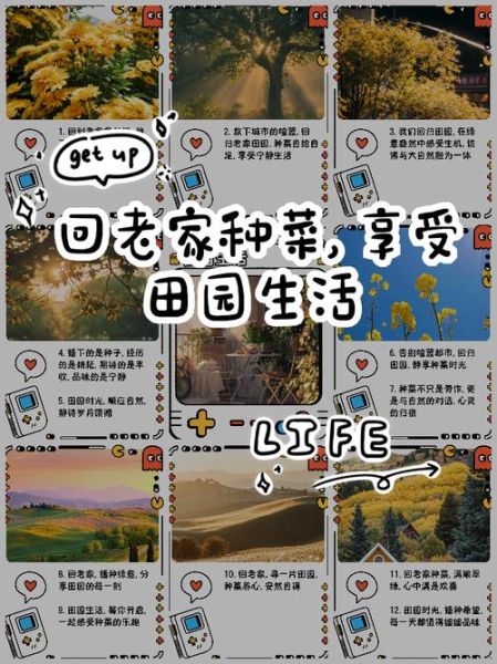 如何开启田园生活_需要多少钱