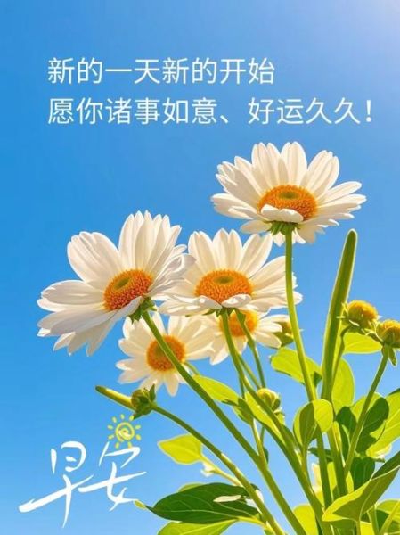 愿你生活多姿多彩_如何让每一天都精彩