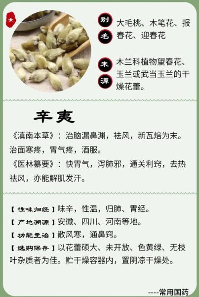 中药大全_中药功效与作用有哪些