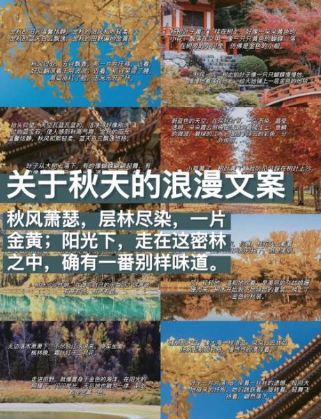 秋天文案怎么写_生活碎片如何记录