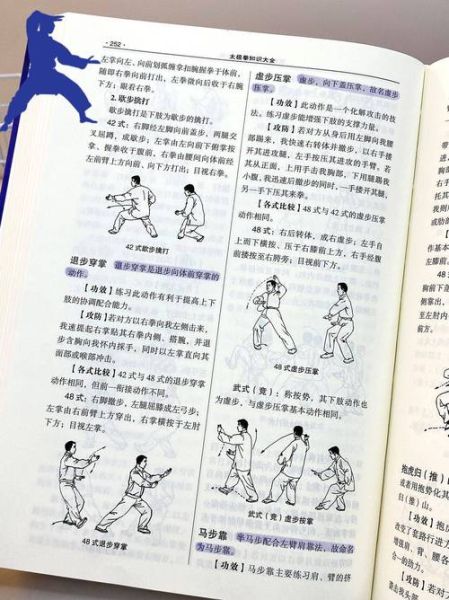 拳的艺术是什么_如何练习拳的艺术