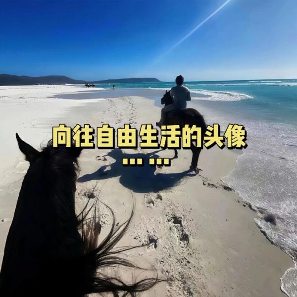 向往自由生活怎么实现_自由生活需要多少钱