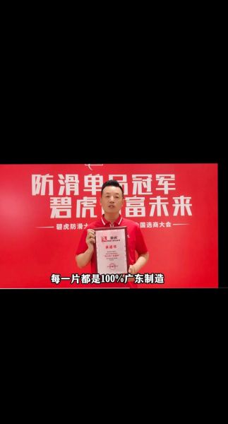 碧虎科技怎么样_碧虎科技产品有哪些