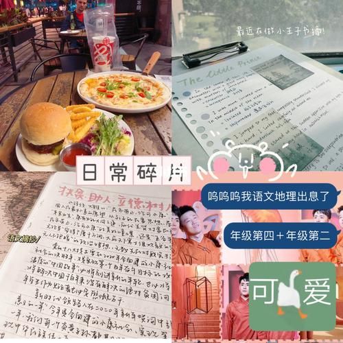 如何整理生活碎片_日常碎片怎么写