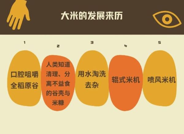 大米起源哪里_大米何时传入中国