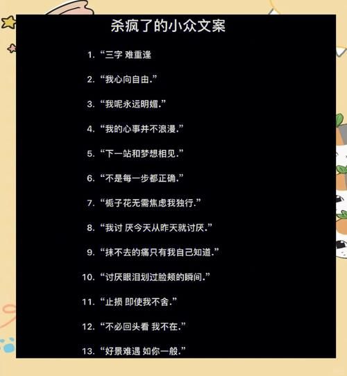 如何写出小众文案_小众文案怎么变现