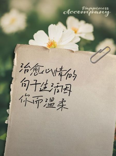 如何温柔治愈生活_温柔治愈生活的句子