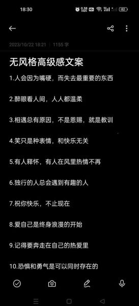 高境界艺术文案怎么写_如何写出高级感文案