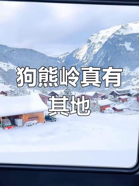 狗熊岭历史大全_狗熊岭真实存在吗