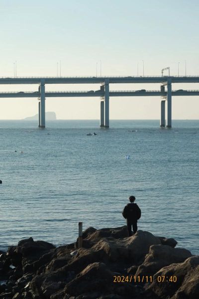 为什么海边总是让人想哭_一个人去海边怎么治愈自己