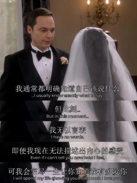 生活大爆炸爱情语录有哪些_谢耳朵求婚台词原文