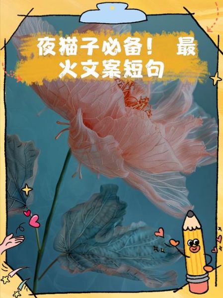 夜幕下的生活文案怎么写_如何打动夜猫子