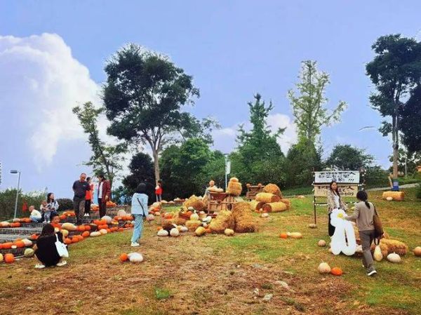 艺术之秋有哪些活动_如何策划艺术之秋主题展览