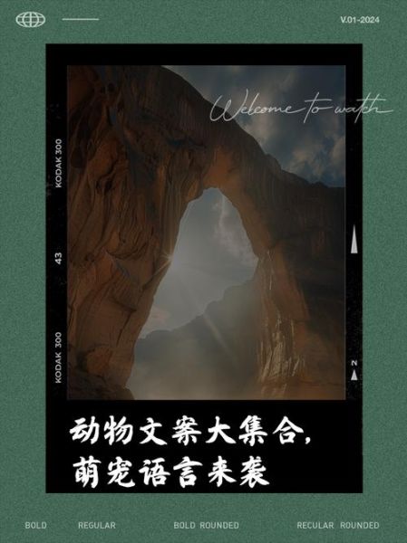 动物艺术文案怎么写_动物艺术文案有哪些风格