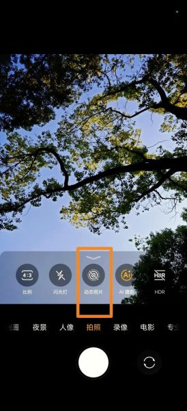 如何用手机拍好实况照片_实况照片怎么拍才清晰