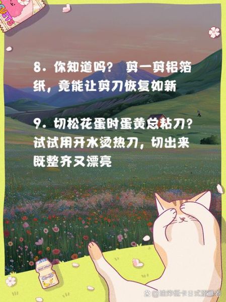 生活小技巧有哪些_如何高效写文案