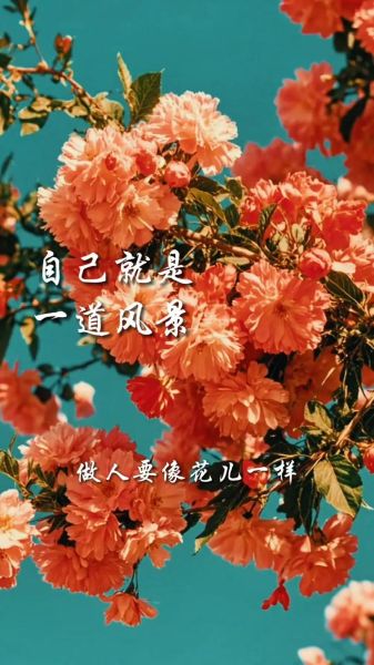 如何让生活像花儿一样_生活像花儿一样的秘诀