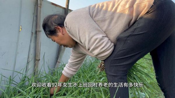 年轻人回农村能做什么_农村生活真的赚钱吗