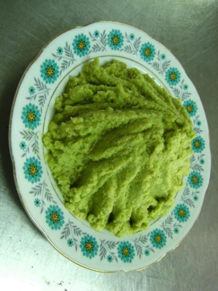 芥末历史图片大全_古代芥末长什么样