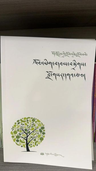 藏文历史造句大全_藏文历史怎么造句