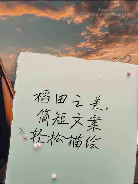 稻田艺术怎么拍好看_稻田艺术搞笑文案怎么写